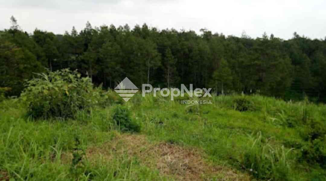 Tanah Komersial Desa Cembor - Pacet Mojokerto — foto 7